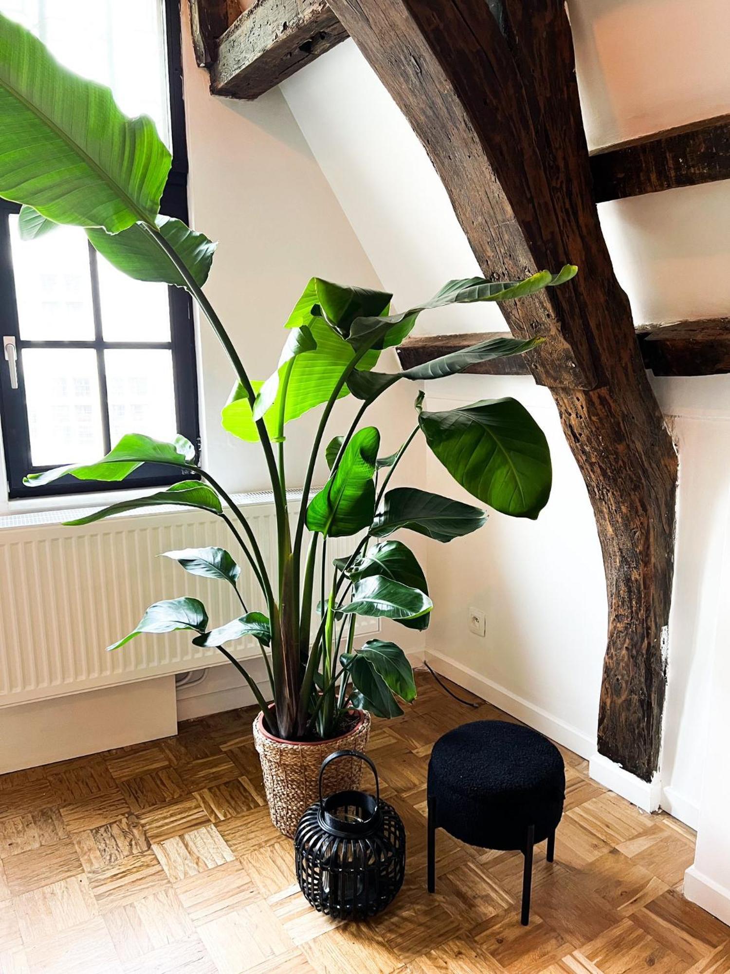 Nammos Home'S Antwerpen Bagian luar foto